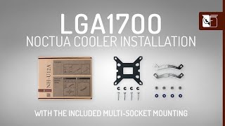 Noctua SecuFirm2™ LGA17xx multisocket CPU cooler installation [upl. by Fidellia238]