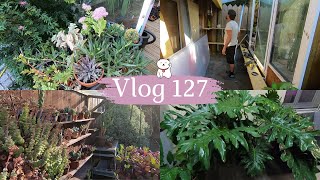 VLOG 127🌿Lagrandissement de la serre avance  De très grosses plantes à mettre à labri  🍅 [upl. by Llewop]