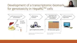 Advancing In Vitro Models for Genotoxicity and Carcinogenicity [upl. by Wadlinger]