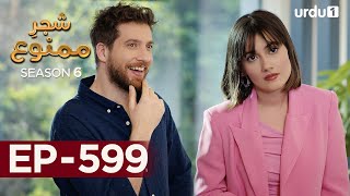 ShajareMamnu  Episode 599  Turkish Drama Forbidden Fruit  Urdu Dubbing  10 October 2023 [upl. by Plunkett]