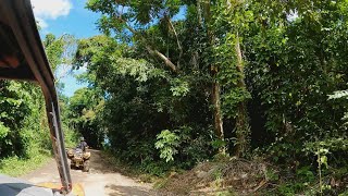 Madrileños por el Mundo en Puerto Rico un paseo por el Yunque Rainforest [upl. by Amaris]