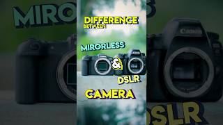 Day2430 DSLR VS MIRRORLESS photographytips cameratips 30dayschallenge dslr cam anjneshverma [upl. by Oznola]