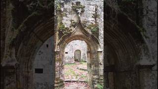 Dans l’ombre douce des forêtsLa Bretagne livre ses secrets Bretagne legend celte mystere art [upl. by Arymat433]