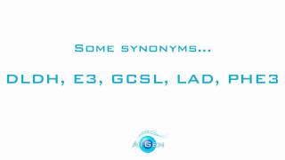 Dihydrolipoyl dehydrogenase mitochondrial recombinant protein [upl. by Notnef]