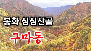 봉화 에서도 둘째 가라면 서러운 심심산골 오지마을 이곳에 사람들은 어떻게 살아가는지 [upl. by Kcered]