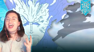 Luffy Casts a Big Shadow  One Piece 192193 Reaction amp Thoughts [upl. by Palocz]