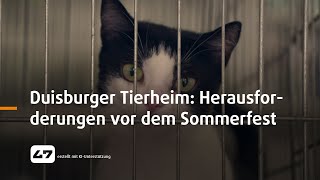 STUDIO 47 live  DUISBURGER TIERHEIM HERAUSFORDERUNGEN VOR DEM SOMMERFEST [upl. by Sirromal353]