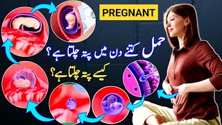 How To Know You Are Pregnant Pregnancy Ka Kb Pta Chlta Hai Pregnancy Ka Kaise Pata Chalta Hai [upl. by Tonie]