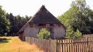 Lüneburger Heide Auf dem Töps  Heidefläche bei Hanstedt [upl. by Dolhenty882]