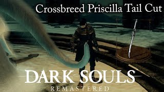 Dark SoulsRemastered  Crossbreed Priscilla Tail Cut [upl. by Tobiah]