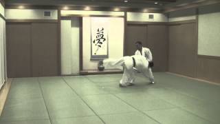 合気道 乱取基本の形④浮技 Tomiki Aikido Randori 17 Hon④Uki [upl. by Ewer]