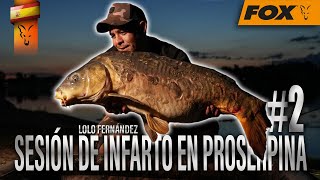 SESIÓN DE INFARTO EN PROSERPINA 2 CARPFISHING TV [upl. by Varipapa208]