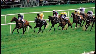 Free Daily Horse Racing Tips WINCANTON 27th March 2024 [upl. by Melone]