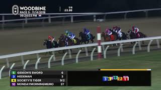 Woodbine November 14 2018  Race 5 [upl. by Marcelia]