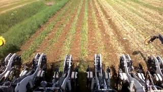 Striptill Maïs StripCat II 7 rangs à 60cm [upl. by Yssak]