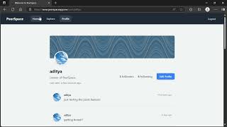 PeerSpace  a minimal microblogging platform [upl. by Yelkao]