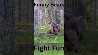 quotBear Wrestle Mania – Hilarious Brown Bear Fightquot youtubeshorts shorts [upl. by Demaggio]