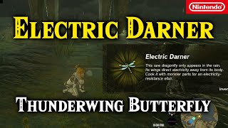 Electric Darner And Thunderwing Butterfly Location Using Sensor Plus With Compendium  Zelda TotK [upl. by Graig576]