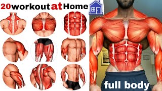 fullbody exercises at🏠تمرين الجسم كامل في المنزل home No equipment S7SGYM [upl. by Atirihs]