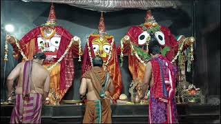 Shri Jagannath Sandhya Arati Darshan 🙏  27Oct2024 [upl. by Thgiled]