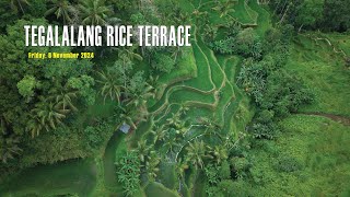 TEGALALANG RICE TERRACES UBUDBALI  DJI AIR 3S [upl. by Acisset975]