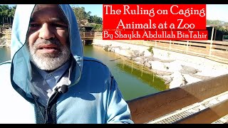 The Ruling on Caging Animals at a Zoo According the Maliki Madhab  Shaykh Abdullah BinTahir [upl. by Starlin]