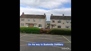 Beautiful roads and houses in Belfast Ireland 🤩🤩 shorts travel youtubeshorts [upl. by Jermaine948]