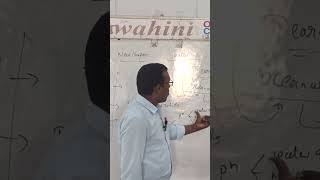 Watet testing process discus by ds sir ytshort [upl. by Doty]