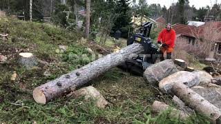 Järnhästen Flex om timmergrip in action2 [upl. by Niwri568]