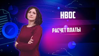 Как заполнить декларацию платы за НВОС в личном кабинете природопользователя [upl. by Ynnoj730]