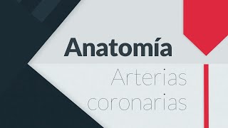 ANATOMÍA DE LAS ARTERIAS CORONARIAS [upl. by Anam22]