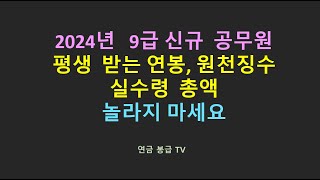 2024년 9급 신규 공무원 평생 받는 연봉총액 놀라지 마세요 [upl. by Luap865]