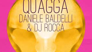 Daniele Baldelli amp DJ Rocca quotQuaggaquot Aimes Night into Day remix [upl. by Anaiad]