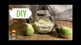 Easy DIY How to Make Wasabi Radish Powder at Home👩🏽‍🌾😋 [upl. by Nnyleimaj]