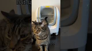 C1 Cat Litter BoxThe safer and smarter choice for cat [upl. by Tynan]