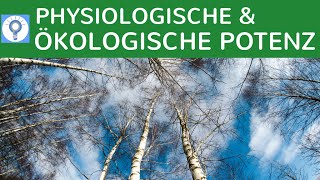 Physiologische und ökologische Potenz einfach erklärt  Wettbewerbs amp Verdrängungsprozesse Bäume [upl. by Eadmund973]