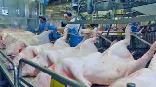 Chinese Eat 700 Million Pigs A Year Pork Processing Factory [upl. by Richia]