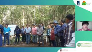 Angélica Navarro Martínez  Sistema patrimonial de manejo forestal para selvas productivas de México [upl. by Ahsyla932]