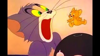 Tom And Jerry English Episodes  The Bowling AlleyCat  Cartoons For Kids [upl. by Russel]