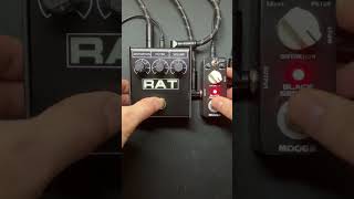 ProCo RAT2 vs MOOER Black Secret Lead guitar then rhythm both going into a Marshall 1987x [upl. by Idnat769]