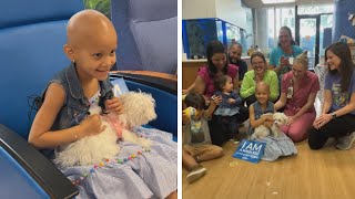 5YearOld Cancer Patient Surprised With New Puppy [upl. by Weinhardt133]