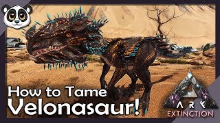 How To Tame Velonasaur  ARK Extinction [upl. by Schreibe]