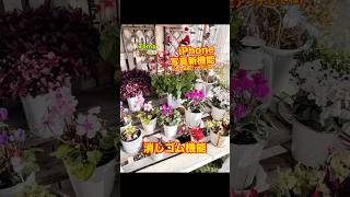 iPhone15pro以降対応写真 新機能 消しゴム機能やり方 iPhone 園芸 ガーデニング [upl. by Tabbie]