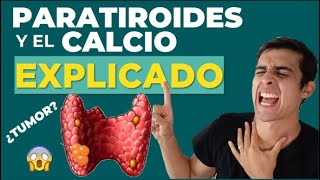 La INCREIBLE 🤯 función de la PARATHORMONA Y CLACITONINA Fisiologia Fácil [upl. by Malvina]