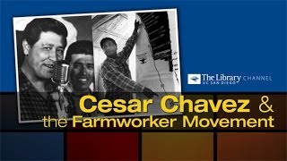 Cesar Chavez and the Farmworker Movement [upl. by Ahtnahc]