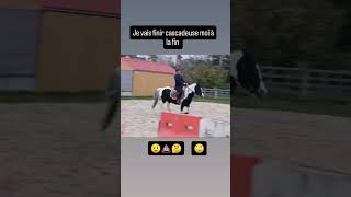 shortvideo short cheval horse chute [upl. by Arelus181]