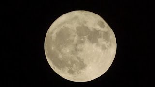 Years first supermoon set to rise next week [upl. by Arikahc928]