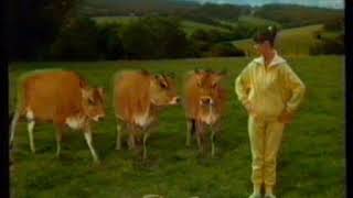 Anchor butter singing cows Tv ad from 1988 [upl. by Nosille]