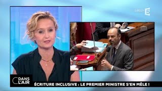 Ecriture inclusive  le 1er ministre s’en mêle  cdanslair 22112017 [upl. by Brigit681]