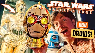 Star Wars Galaxys Edge NEW Droids amp Photo Experience  Merch Updates  Disneyland Vlog [upl. by Accissej179]